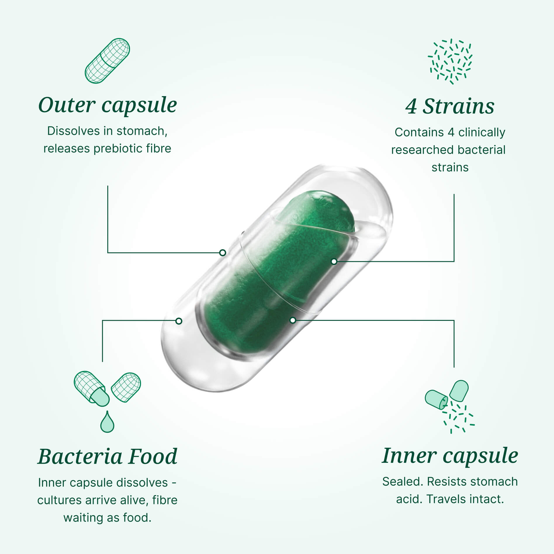 Rhowell + Duocap capsule